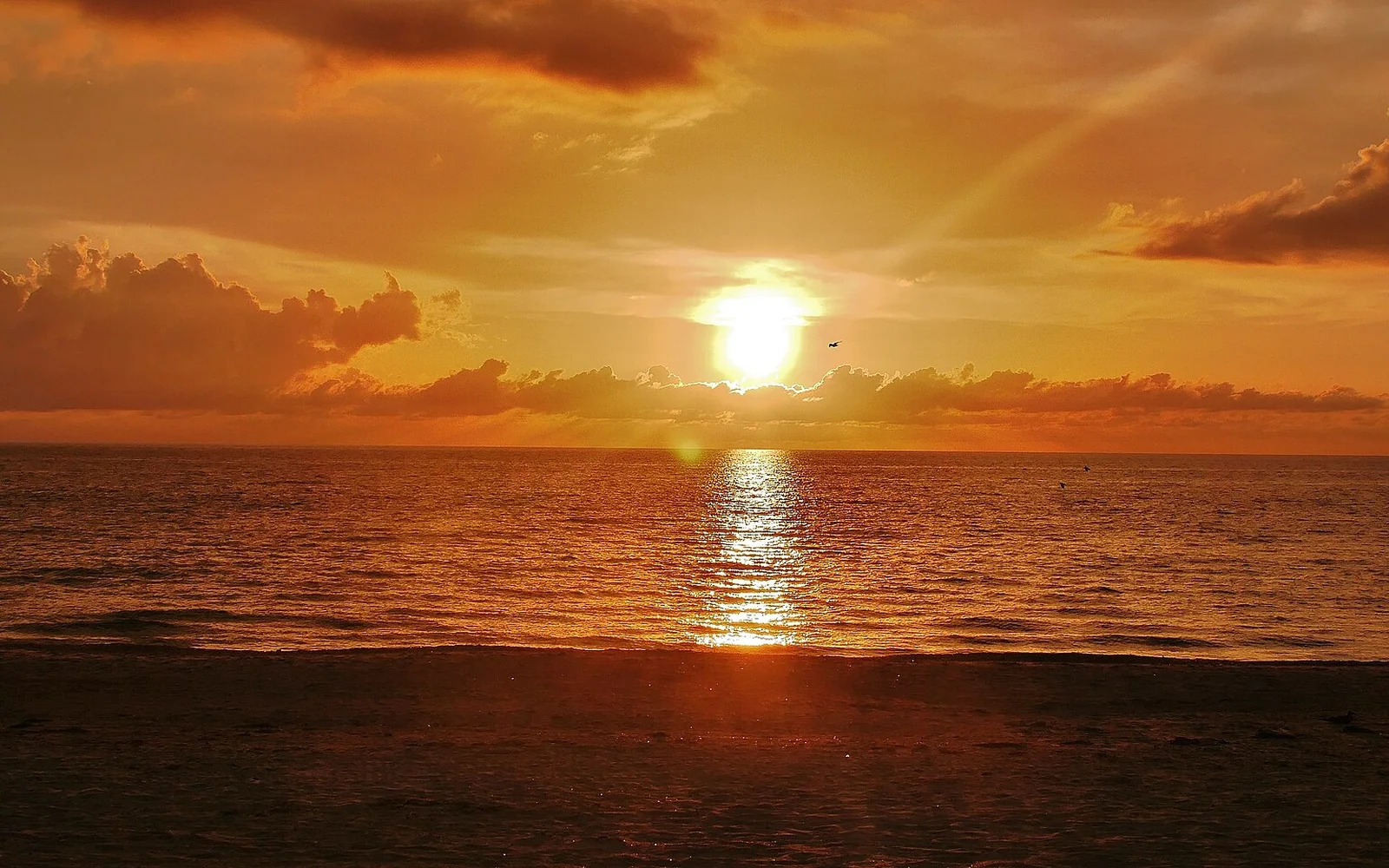 Belleair Shore 1031 Exchange