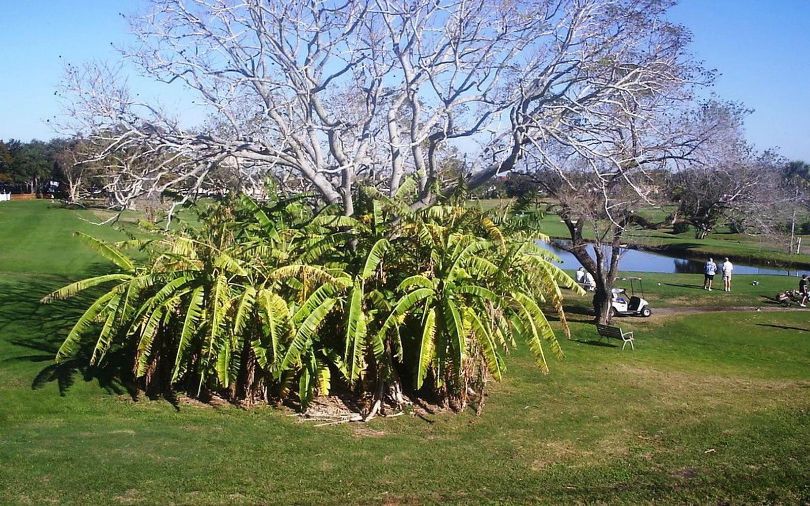 Pinecrest 1031 Exchange